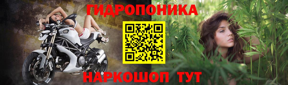 Каннабис план  Бошки марихуана индика  Вход с VPN  Нижнекамск  МАРИХУАНА ГИДРОПОН 